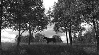 Empyrean Trailer