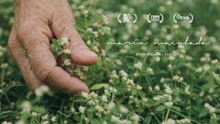 Maria Maculada (2018) - Trailer