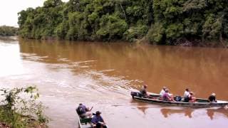 JUNGLE FISH: The Film Trailer