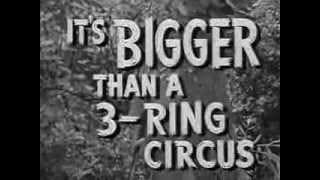 ▶ The White Gorilla 1945 trailer   YouTube 240p