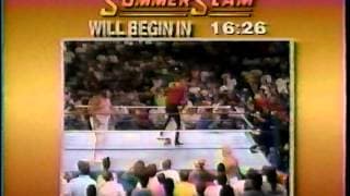 Summerslam 1990 Pre-Show