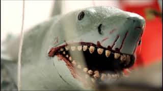 Jaws Finatics - Trailer
