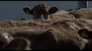 Canned Dreams | Trailer