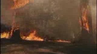 nature unleashed fire