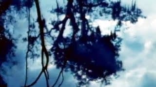 TWO SONGS