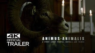 ANIMUS ANIMALIS (ISTORIJA APIE ŽMONES, ŽVĖRIS IR DAIKTUS) Treileris (2018)