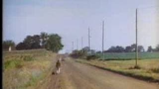 Four Corners of Nowhere Trailer