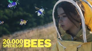 US Trailer [Subtitled]