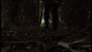 Animal Soup Trailer