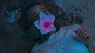 Trailer [Subtitled]