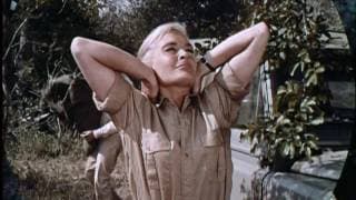 Rhino! (1964) trailer
