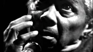 Nelson Cavaquinho-Ensaio TV Cultura