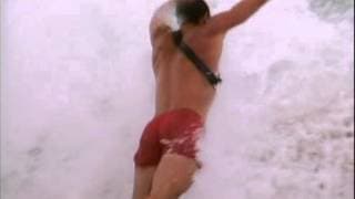 Baywatch S01E01 Panic At Malibu Pier DVDRip XviD