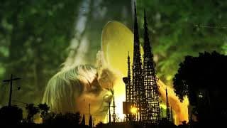 Trailer | The Wonder Way | Emmanuelle Antille