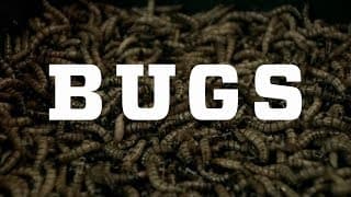Bugs – Official Trailer