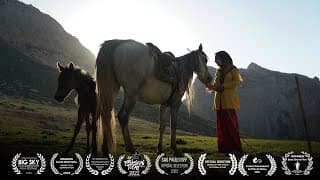 The Dream of a Horse   Trailer   2023