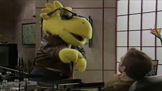 Yello Dyno's Tricky People