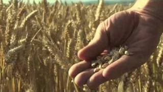 Food Matters Official Trailer
