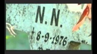 Buscadores de identidades robadas Trailer