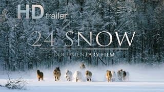 24 SNOW film trailer (ENG) / 24 СНЕГА