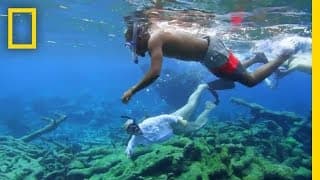 Current State of the Oceans | Sea of Hope: America's Underwater Treasures