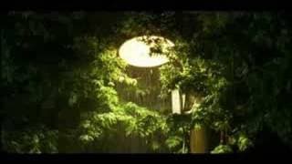 You Are My Sunshine trailer
