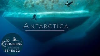 Gombessa 3 - Antarctica - Ep22