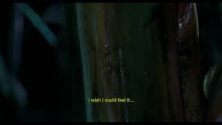 Trailer | A Hundred-Headed Dragon | Helena Girón & Samuel Delgado