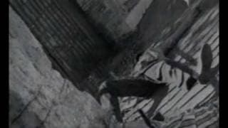 Antonio Rezza - Il telefonetto