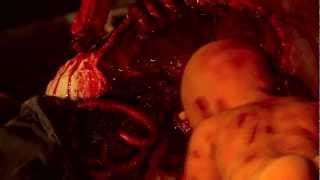 The Biker Warrior Babe Vs. The Zombie Babies From Hell Trailer
