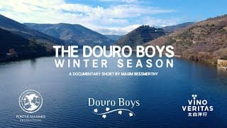 Douro Boys | Winter