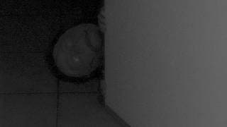 DO YOU SEE IT