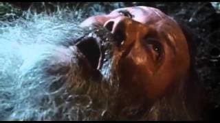 Trailer 'Timerider: The Adventure of Lyle Swann' (1982)