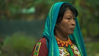 MÛPÃ (Madre) - Tráiler Oficial