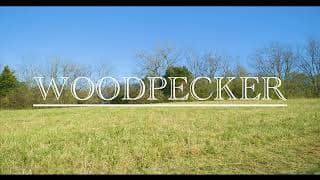 "WOODPECKER" - Official Trailer