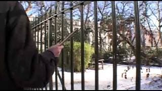 Francis Alÿs Railings (Fitzroy Square)