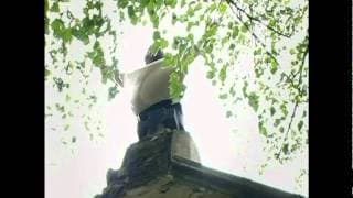 Láska v hrobě (Love in the Grave) (2011) - Trailer