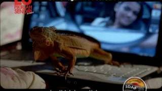 Lu Pikirlah Sendiri de Movie - Trailer