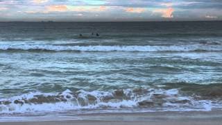 Why Sharks Attack - BLUE 2014: Broadcast TV Program Honorable Mention