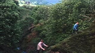 Second Best - Trailer