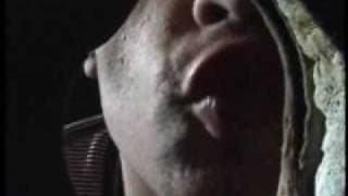 LIVE FOR SEX DIE FOR LOVE