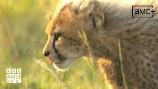 Chasing the Rains Official Trailer | Premieres April 22 | BBC America