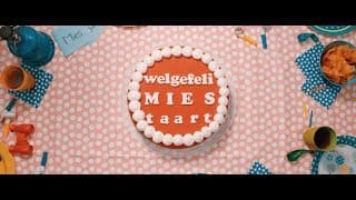 WelgefeliMiesTaart - Een wijze les van je zomerliefde... (BLIK film)