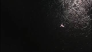 JUMP trailer @vandergrijn1