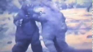 ゴジラ1983（ゴジラ対地底怪獣パゴス）