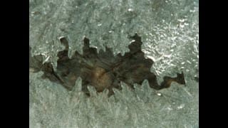 Winter's End (Super 8)