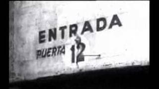 TRAILER PUERTA 12