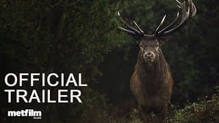 Official Trailer [Subtitled]