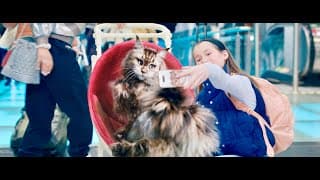 Trailer [Subtitled]