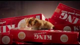 MY FRIEND RAFFI TRAILER HD